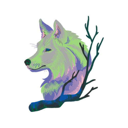 Alaskan Tundra Wolf Animals Alaskan Tundra Wolf Animals