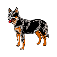 Alopekis Animals Alopekis Animals