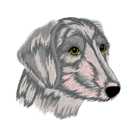 Alpine Dachsbracke Animals