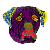 American Bulldog Animals American Bulldog Animals