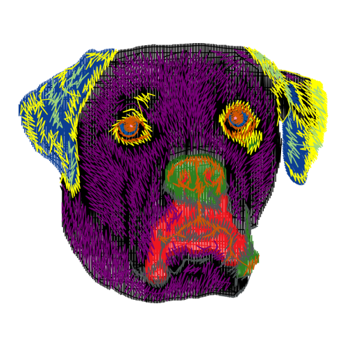 American Bulldog Animals American Bulldog Animals