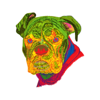 American Bulldog Animals American Bulldog Animals