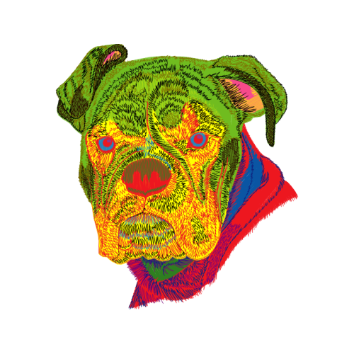 American Bulldog Animals American Bulldog Animals