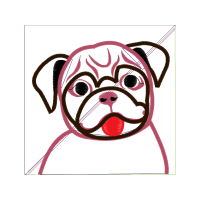 American Bulldog Animals American Bulldog Animals