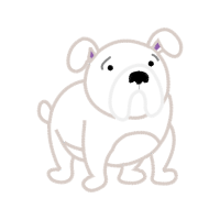 American Bulldog Animals