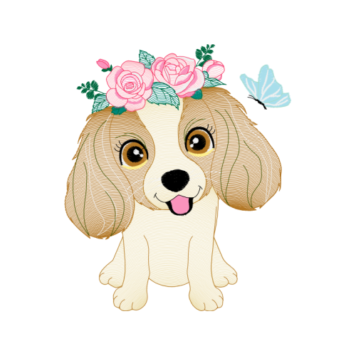 American Cocker Spaniel Animals American Cocker Spaniel Animals