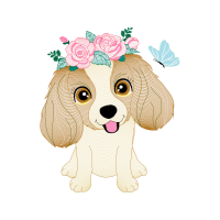 American Cocker Spaniel Animals American Cocker Spaniel Animals