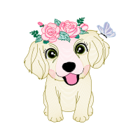 American Cocker Spaniel Animals