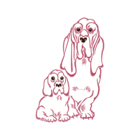 American Cocker Spaniel Animals American Cocker Spaniel Animals