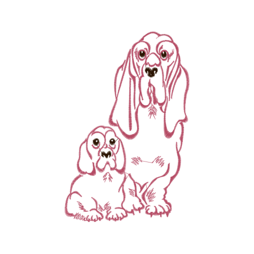 American Cocker Spaniel Animals American Cocker Spaniel Animals