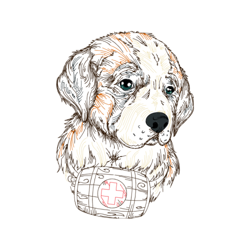 American Cocker Spaniel Animals American Cocker Spaniel Animals