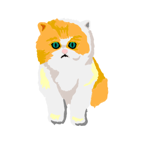 American Curl Animals American Curl Animals