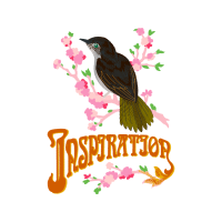 American Dipper Animals American Dipper Animals