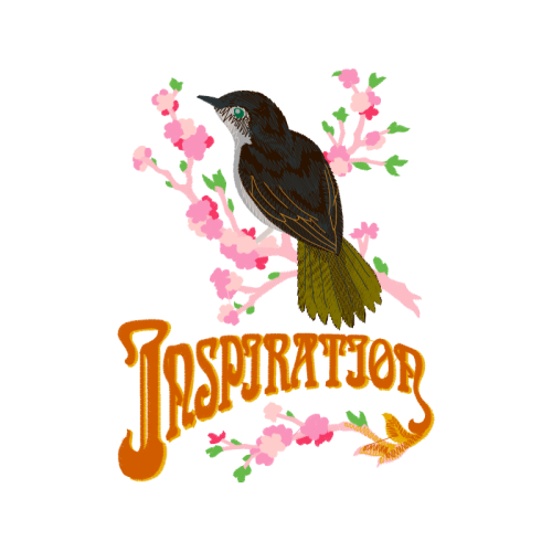 American Dipper Animals American Dipper Animals