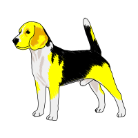 American Foxhound Animals