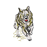 American Indian Dog Animals American Indian Dog Animals