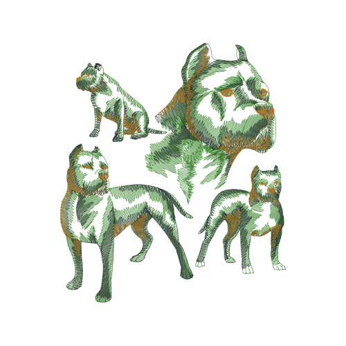 American Pit Bull Terrier Animals American Pit Bull Terrier Animals