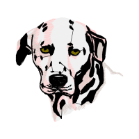 American Pit Bull Terrier Animals American Pit Bull Terrier Animals