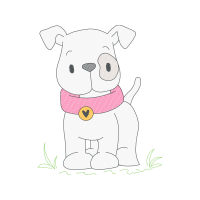 American Pit Bull Terrier Animals