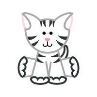 American Shorthair Animals American Shorthair Animals