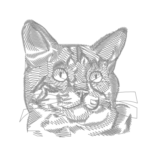 American Shorthair Animals American Shorthair Animals