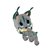 American Shorthair Animals American Shorthair Animals