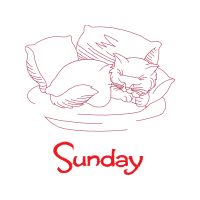 American Shorthair Animals American Shorthair Animals