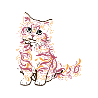 American Shorthair Animals American Shorthair Animals