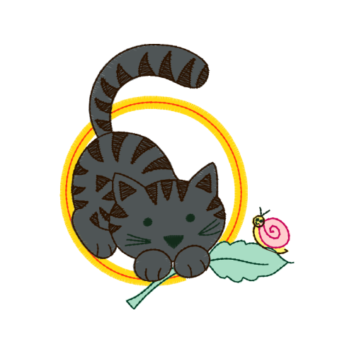 American Shorthair Animals American Shorthair Animals