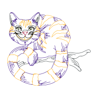 American Shorthair Animals American Shorthair Animals