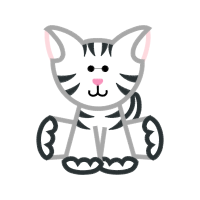 American Shorthair Animals American Shorthair Animals