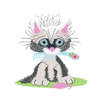 American Shorthair Animals American Shorthair Animals