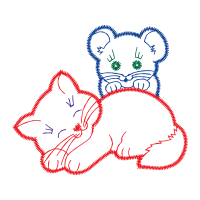 American Shorthair Animals