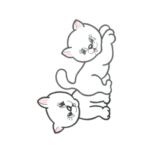 American Shorthair Animals American Shorthair Animals