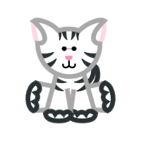 American Shorthair Animals American Shorthair Animals