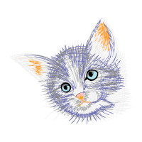 American Shorthair Animals American Shorthair Animals