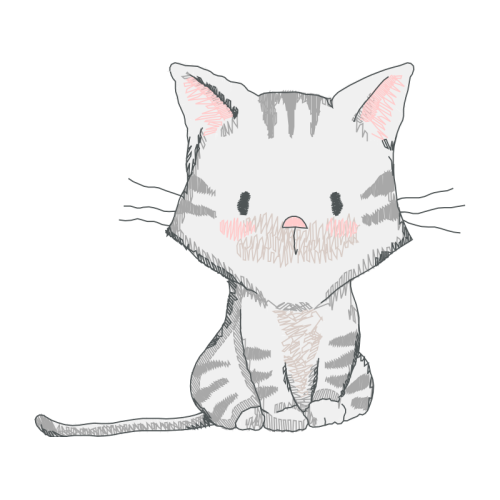American Shorthair Animals American Shorthair Animals