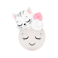 American Shorthair Animals American Shorthair Animals