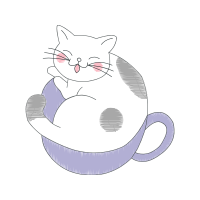 American Shorthair Animals American Shorthair Animals