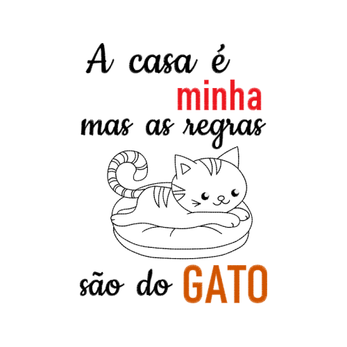 American Shorthair Animals American Shorthair Animals