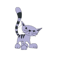 American Shorthair Animals American Shorthair Animals