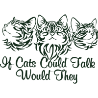 American Shorthair Animals