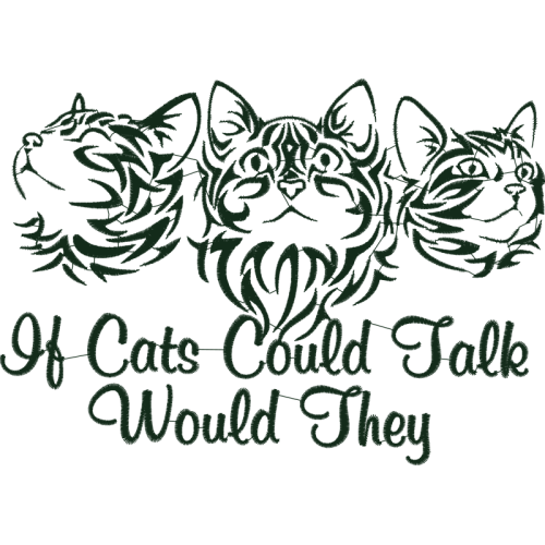 American Shorthair Animals American Shorthair Animals