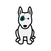 American Shorthair Animals American Shorthair Animals