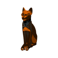 American Wirehair Animals American Wirehair Animals