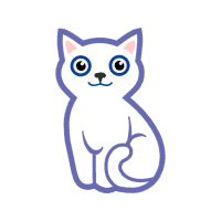 American Wirehair Animals American Wirehair Animals