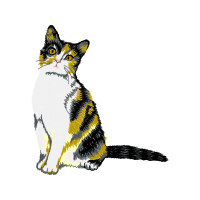 American Wirehair Animals