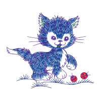 American Wirehair Animals American Wirehair Animals