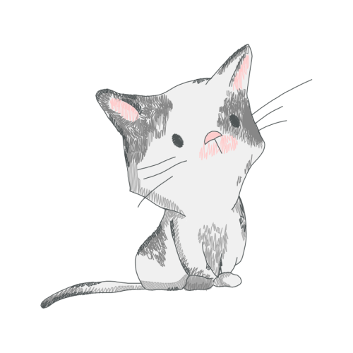 American Wirehair Animals American Wirehair Animals