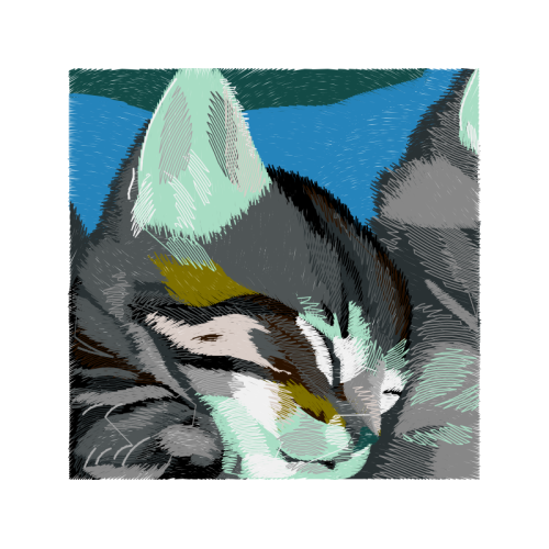 American Wirehair Animals American Wirehair Animals